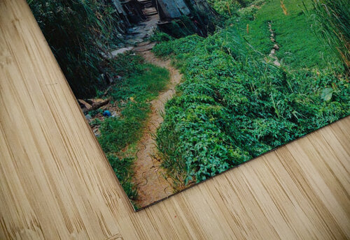 69   Copy Edward Levenson puzzle