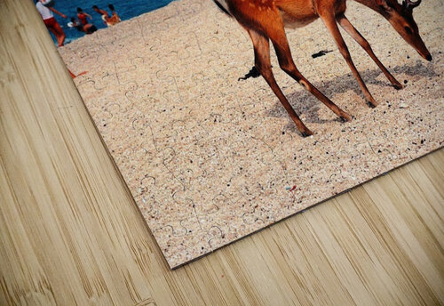 181a   Copy Edward Levenson puzzle