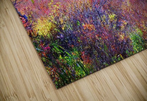 Landscape Edward Levenson puzzle