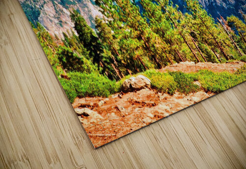 6   Copy Edward Levenson puzzle