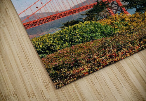 23   Copy Edward Levenson puzzle