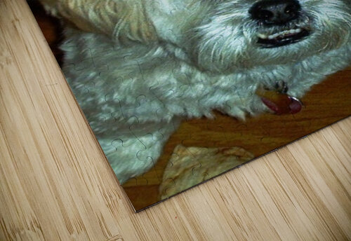 IM000475   Copy Edward Levenson puzzle