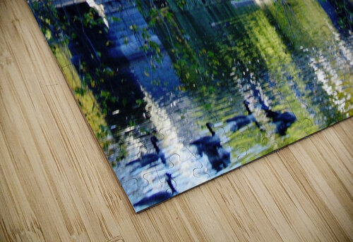 84 Edward Levenson puzzle