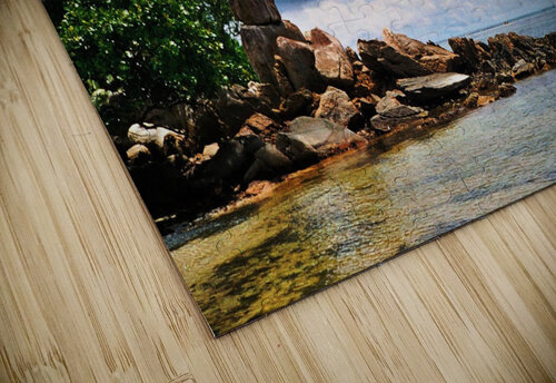 SDg   Copy Edward Levenson puzzle