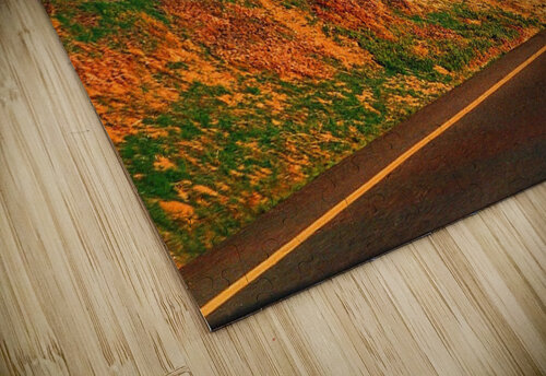 2 Edward Levenson puzzle
