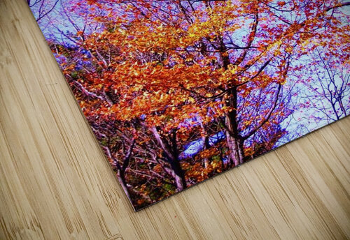 IMGP0419   Copy Edward Levenson puzzle