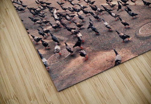 208 Edward Levenson puzzle