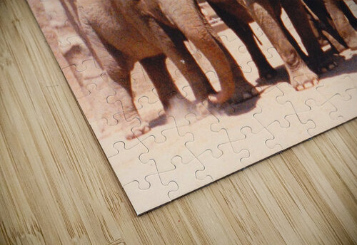 162 Edward Levenson puzzle