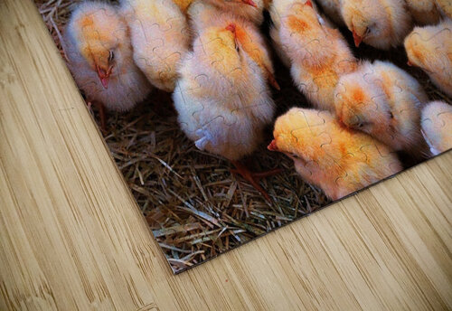 125 edited 1 Edward Levenson puzzle