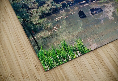 149 Edward Levenson puzzle
