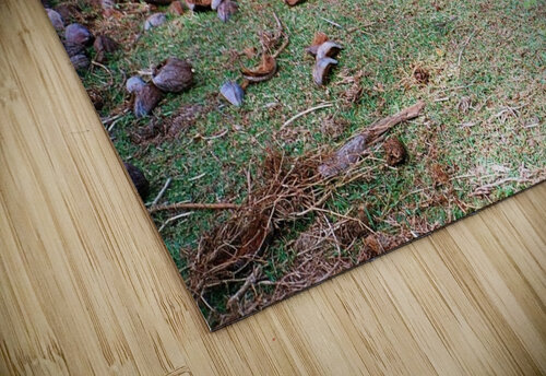 33 Edward Levenson puzzle