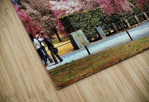 136 Edward Levenson puzzle