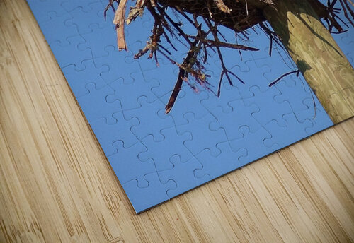 DSC06415 Edward Levenson puzzle