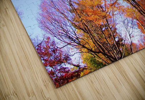 IMGP0416   Copy Edward Levenson puzzle