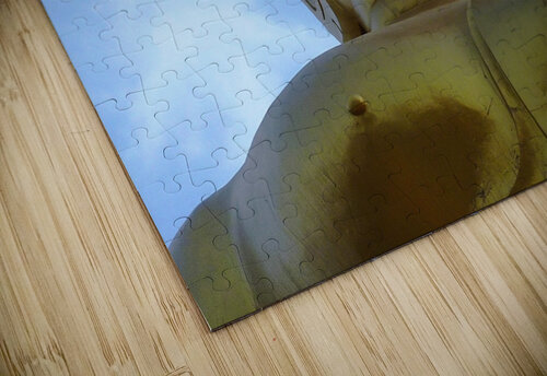 P1010962   Copy Edward Levenson puzzle