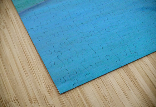 100 0710   Copy Edward Levenson puzzle