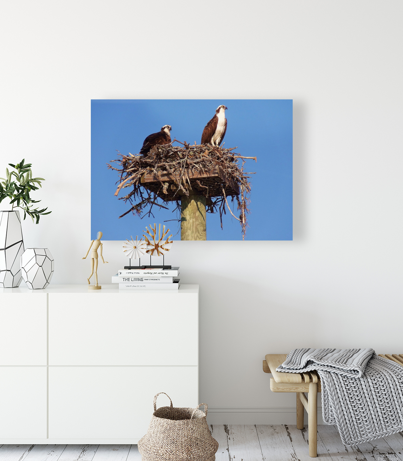 DSC06415 Reproduction