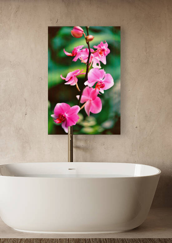 Flower by Edward Levenson