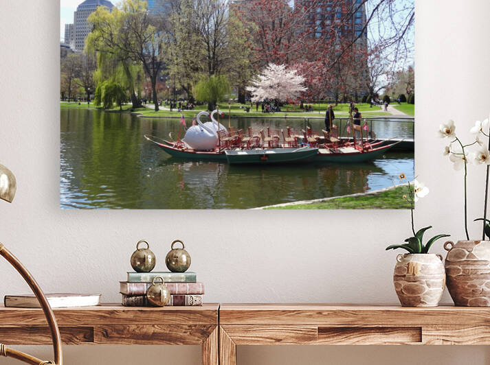 Swan Boat Boston Public Garden 1990s by Edward Levenson