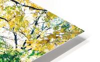 Foliage HD Metal print