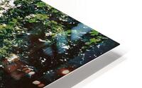 Boston Common Frog Pond HD Metal print