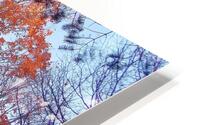 Foliage HD Metal print