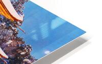 158a edited 1 HD Metal print