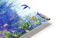 Landscape HD Metal print