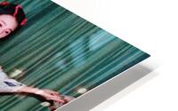 301 HD Metal print