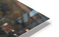 49a HD Metal print