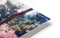 149 HD Metal print