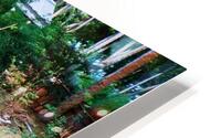 33 HD Metal print