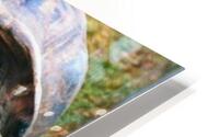 30a   Copys HD Metal print
