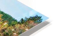150   Copy HD Metal print