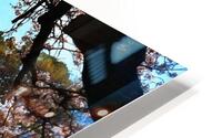 136 HD Metal print