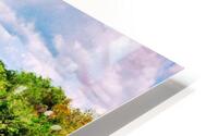 24d HD Metal print