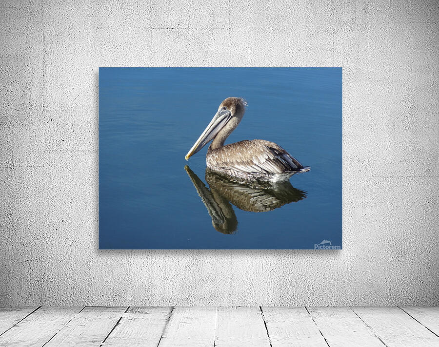Pelican  Wall Preview