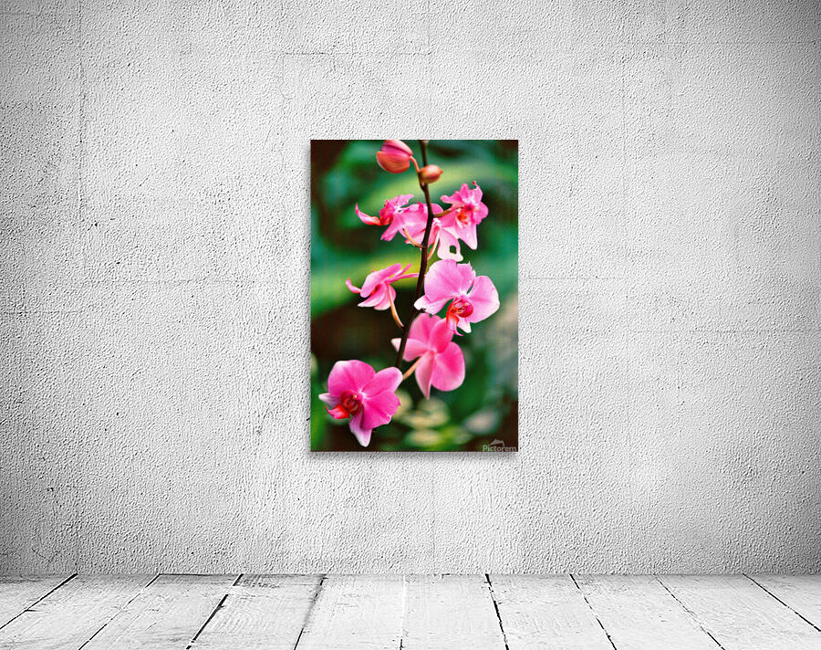 Flower Wall Preview