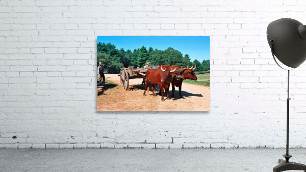 29a edited 2   Copy Wall Preview