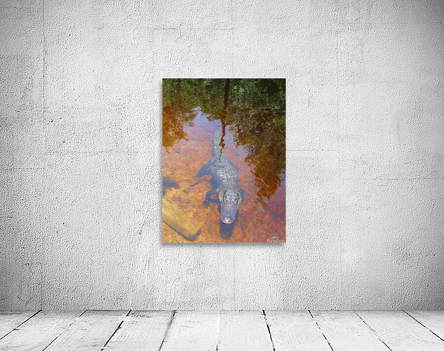 DSC01503 Wall Preview