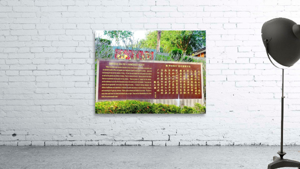 P1010887 Wall Preview