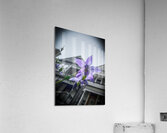 Mansion Acrylic Print