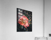Birth Acrylic Print