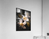 3 Kings Acrylic Print