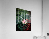 The Crown Acrylic Print