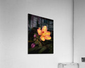 Adorn Acrylic Print