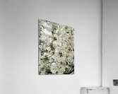 The District Acrylic Print