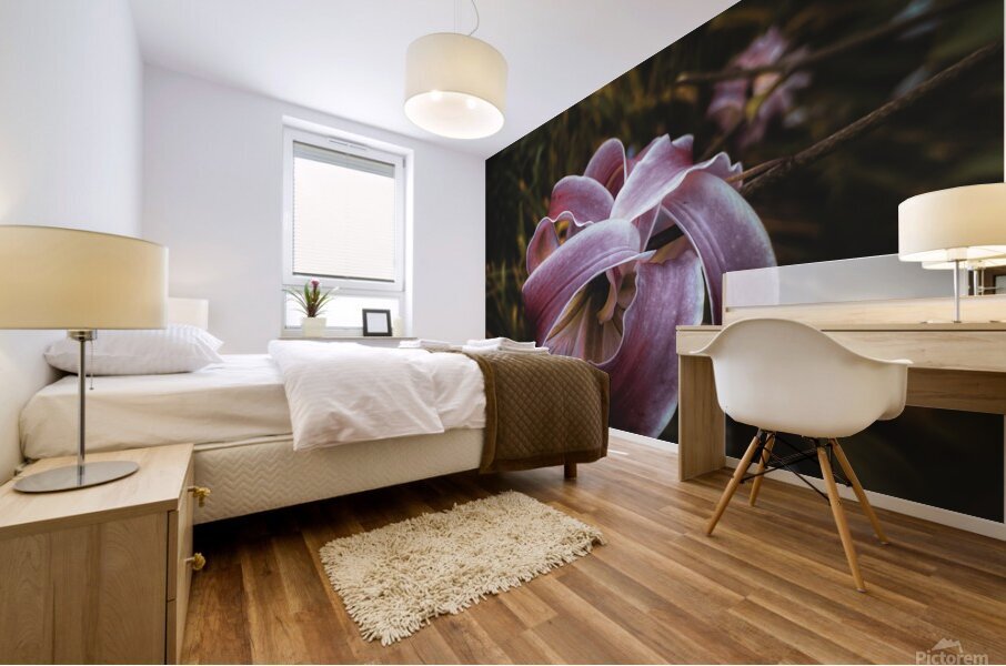 Expansion Mural print