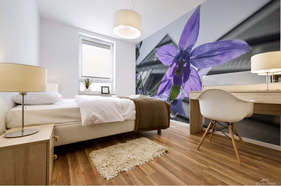 Mansion Mural print