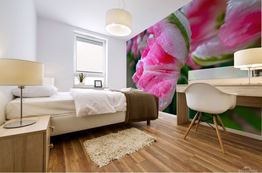 Freedom Mural print